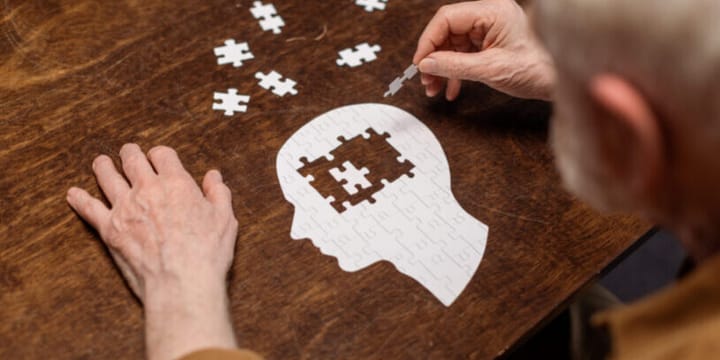 Enhancing Memory and Focus: The Power of Brain Health Supplements